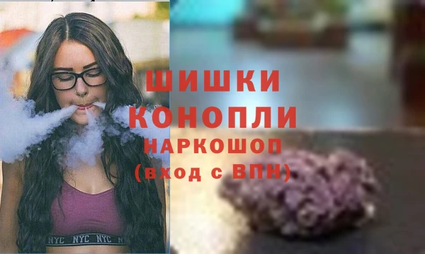 прущие грибы Гусь-Хрустальный