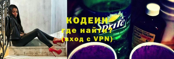 прущие грибы Гусь-Хрустальный