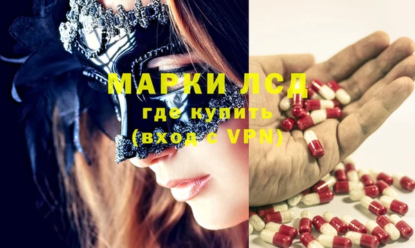 прущие грибы Гусь-Хрустальный