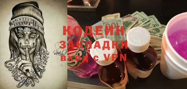прущие грибы Гусь-Хрустальный
