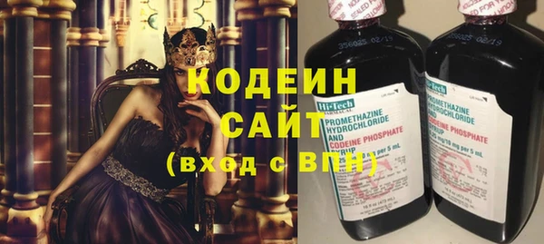 прущие грибы Гусь-Хрустальный