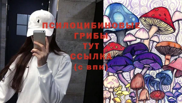 первитин Гусев