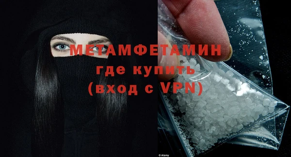прущие грибы Гусь-Хрустальный