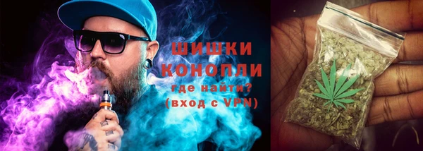 первитин Гусев